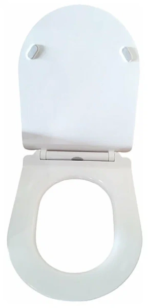 Крышка-сиденье для унитаза Cerutti Spa Bernina, Bernina F CT7586 Белая с микролифтом